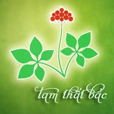 TAM THẤT BẮC
