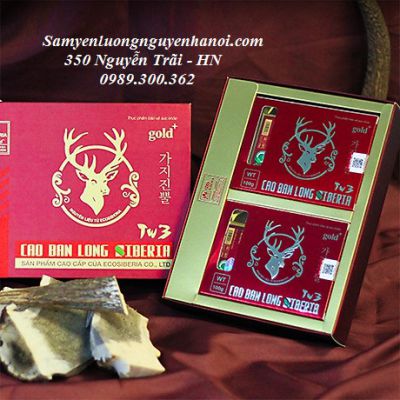 CAO BAN LONG SIBERIA - HỘP QUÀ 200G