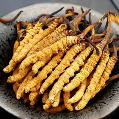 Đông trùng hạ thảo nguyên con - Hộp 10gr