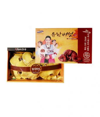 Nấm Linh Chi Hàn Quốc Hộp quà cao cấp