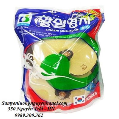 Nấm Linh Chi Đỏ Túi Xanh Hàn Quốc
