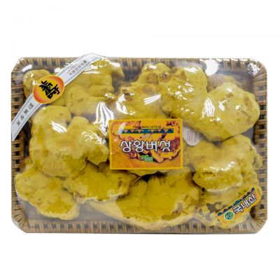 Nấm Thượng Hoàng Cao Cấp Đóng Khay 0,5kg