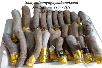 NHUNG HƯƠU TƯƠI HOANG DÃ CỦA NGA