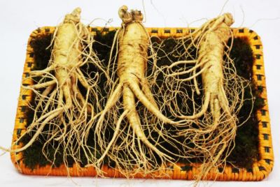 Sâm tươi Korea 6 năm tuổi loại 3 củ/kg