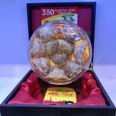 Yến đảo thô nguyên tổ Khánh Hòa Hộp 100gr