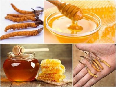 Mật ong ngâm đông trùng hạ thảo